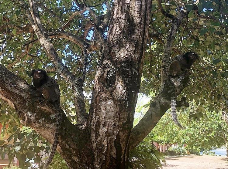 Pousada Pontal Do Lago Carmo do Rio Claro Dış mekan fotoğraf